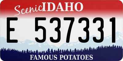 ID license plate E537331