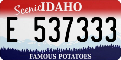 ID license plate E537333