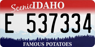 ID license plate E537334