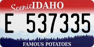 ID license plate E537335