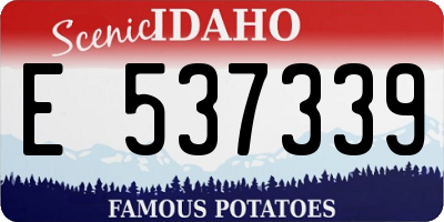 ID license plate E537339
