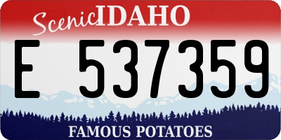 ID license plate E537359