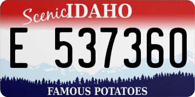 ID license plate E537360