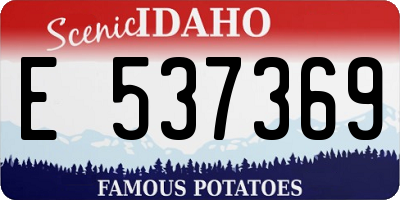 ID license plate E537369