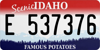 ID license plate E537376
