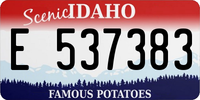 ID license plate E537383