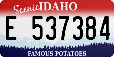 ID license plate E537384