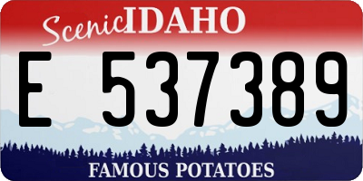 ID license plate E537389
