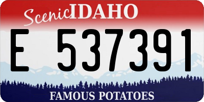 ID license plate E537391