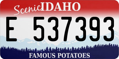 ID license plate E537393