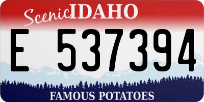 ID license plate E537394