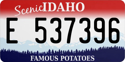 ID license plate E537396