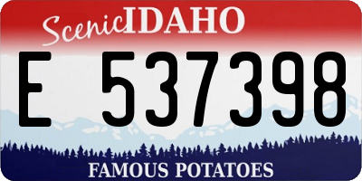 ID license plate E537398