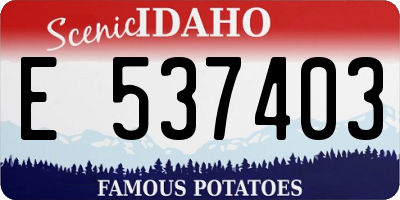 ID license plate E537403