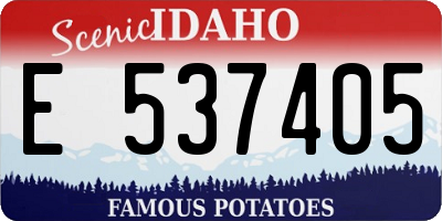 ID license plate E537405