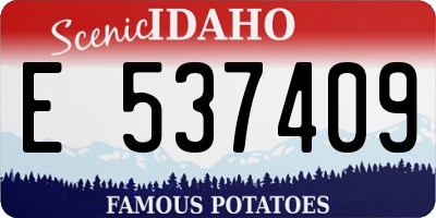 ID license plate E537409