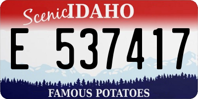 ID license plate E537417