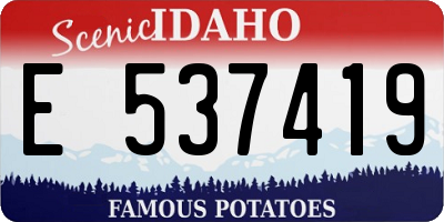 ID license plate E537419