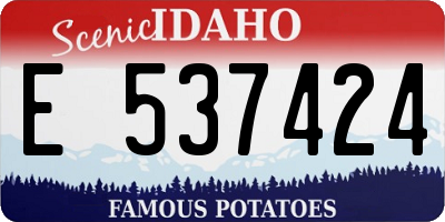 ID license plate E537424
