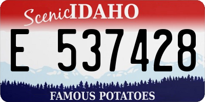 ID license plate E537428