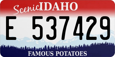 ID license plate E537429