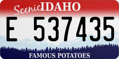 ID license plate E537435