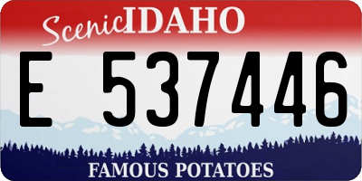 ID license plate E537446