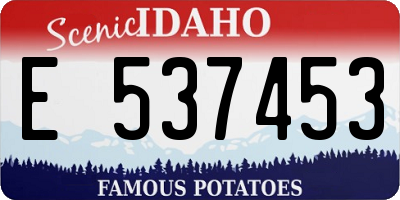 ID license plate E537453