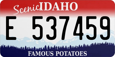 ID license plate E537459