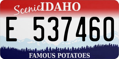 ID license plate E537460