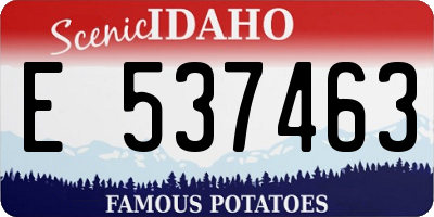 ID license plate E537463