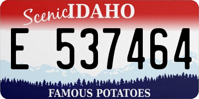 ID license plate E537464