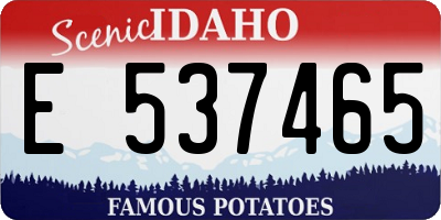 ID license plate E537465