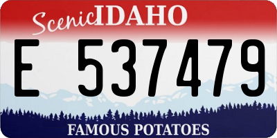 ID license plate E537479