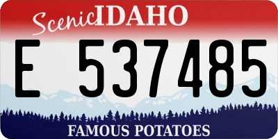 ID license plate E537485