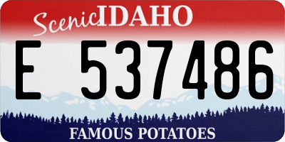 ID license plate E537486