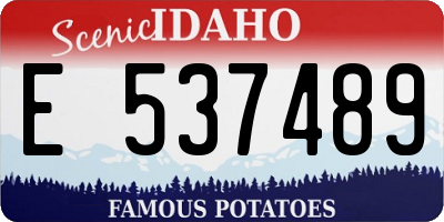 ID license plate E537489