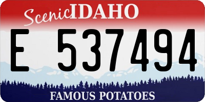 ID license plate E537494