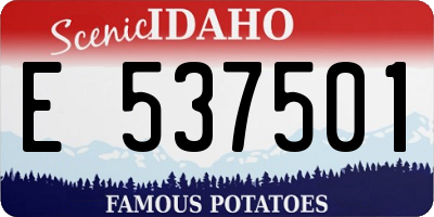 ID license plate E537501