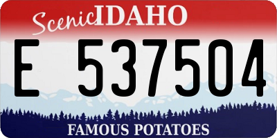 ID license plate E537504