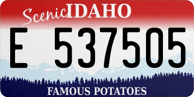 ID license plate E537505