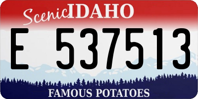 ID license plate E537513