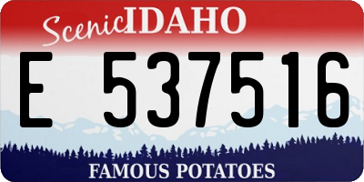 ID license plate E537516