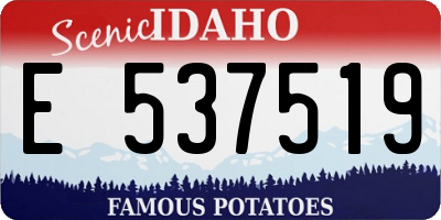ID license plate E537519