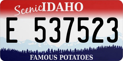 ID license plate E537523