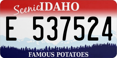 ID license plate E537524