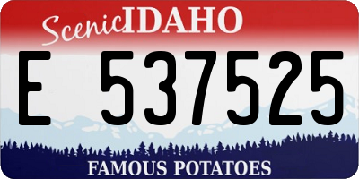 ID license plate E537525