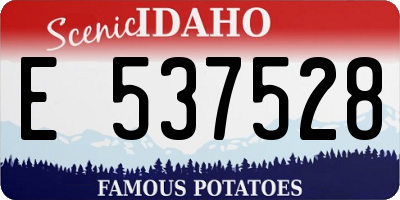 ID license plate E537528