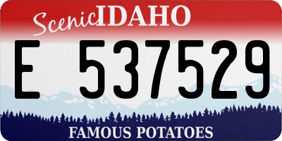 ID license plate E537529