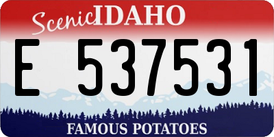 ID license plate E537531